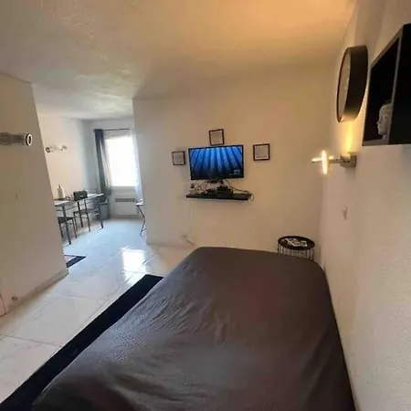 Magnifique Studio Renove En Plein Centre Ville. * Nice